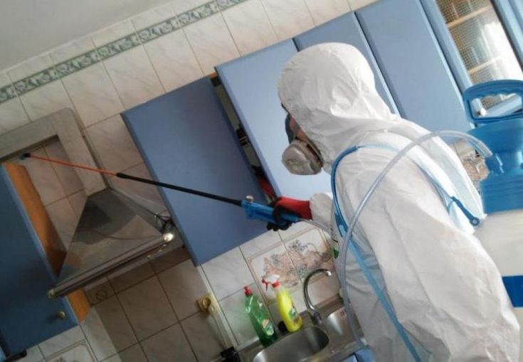 شركه مكافحة القوارض والحشرات بالرياض