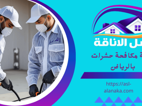 شركة مكافحة حشرات بالرياض