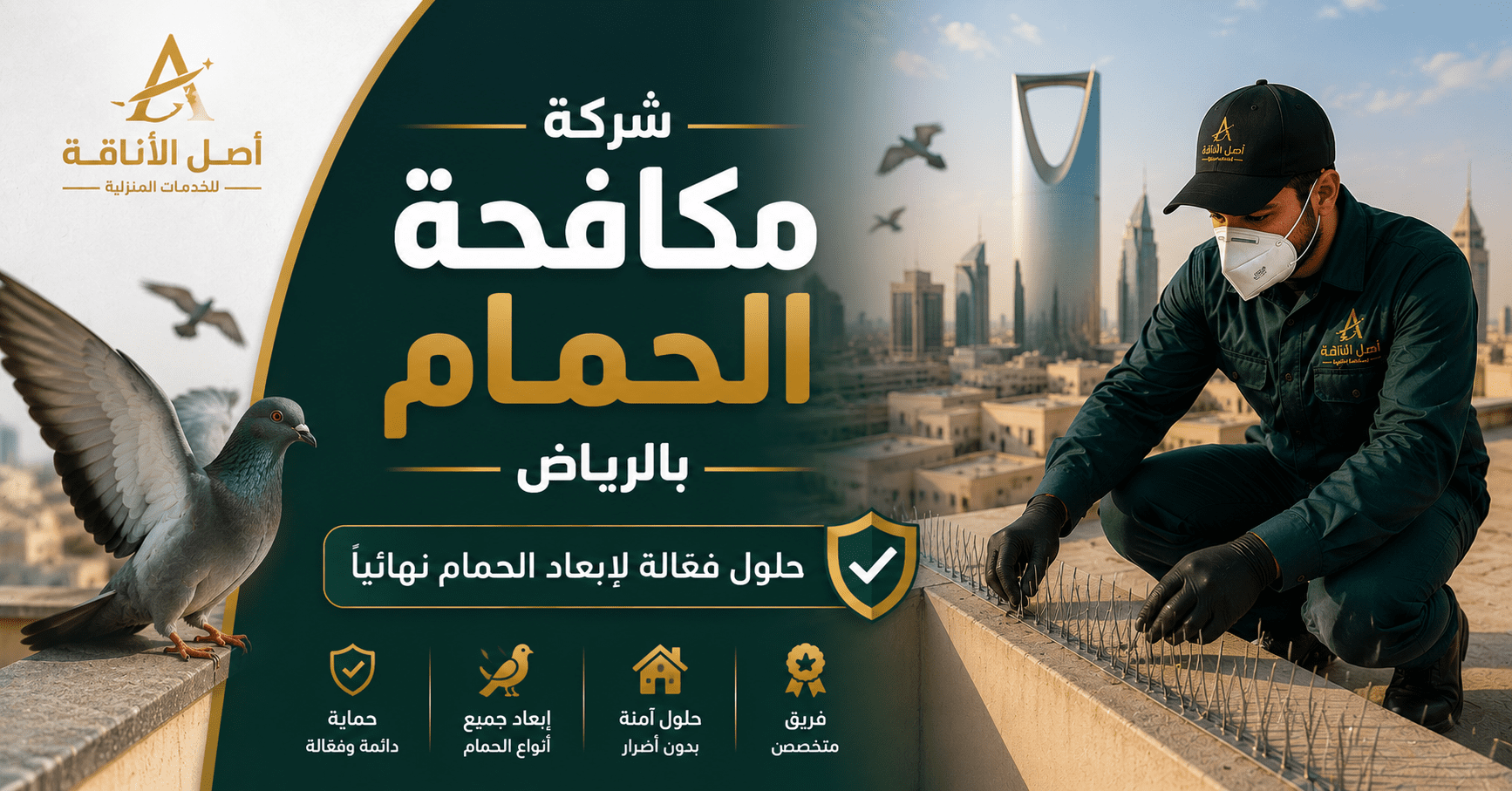 شركه مكافحه الحمام بالرياض