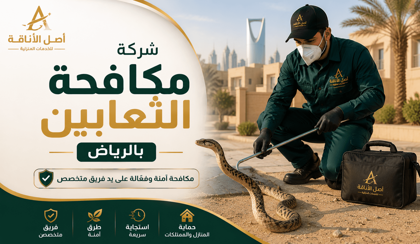 شركة مكافحة الثعابين بالرياض