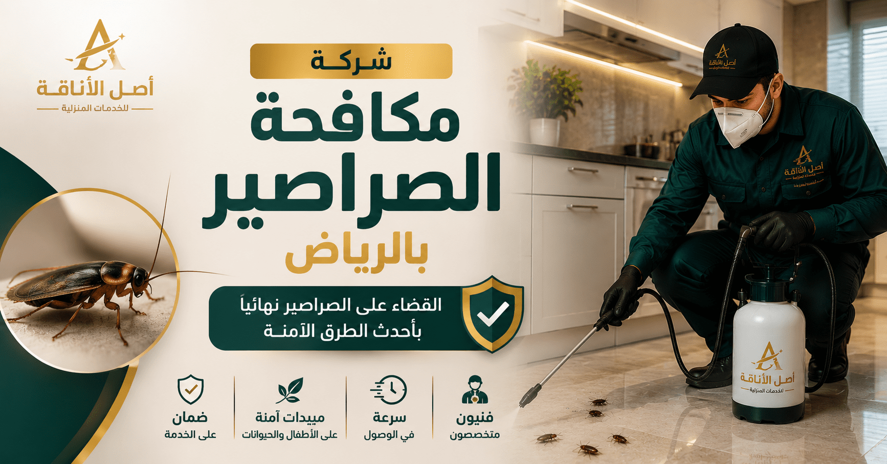 شركة مكافحة الصراصير بالرياض