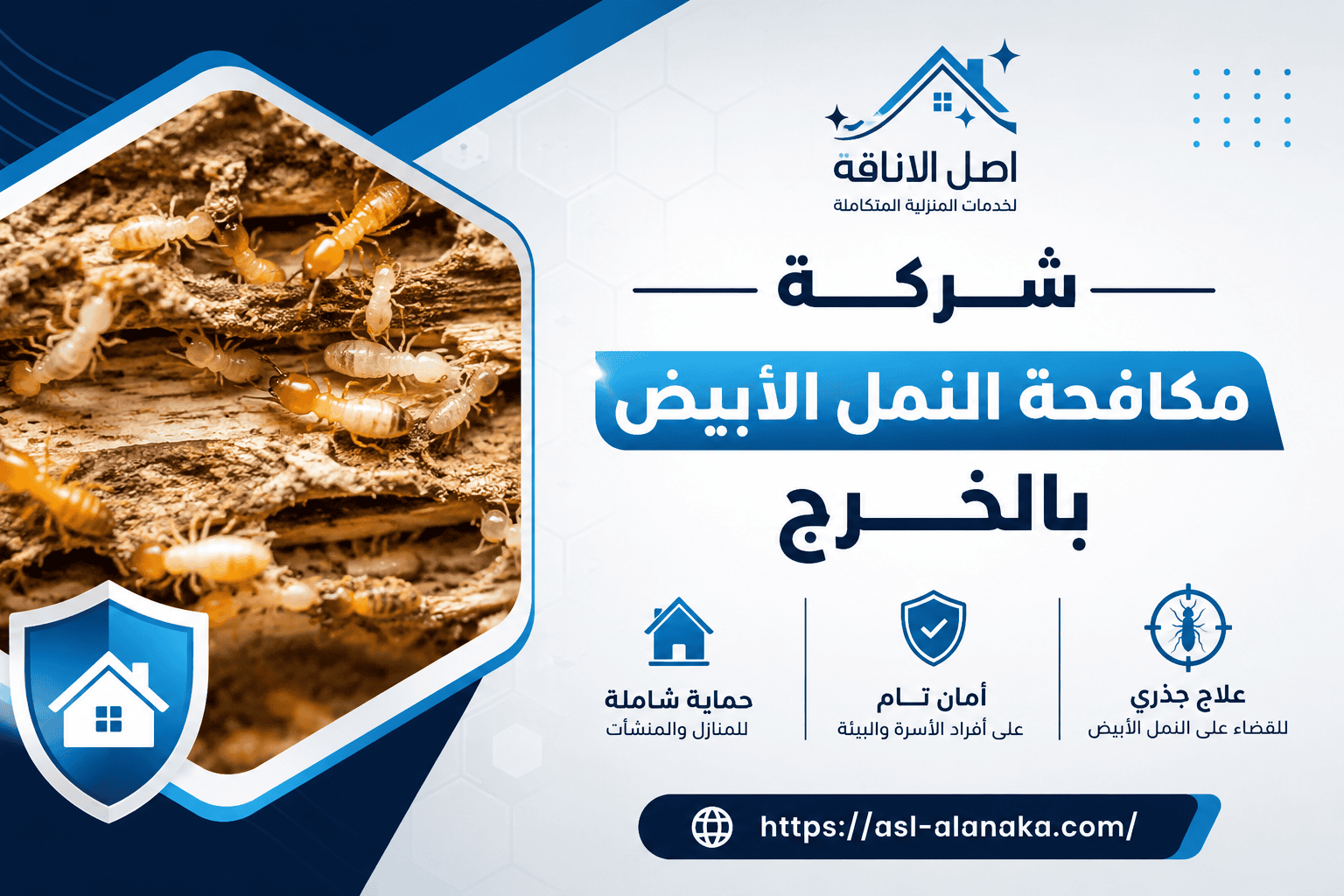 شركة مكافحة النمل الأبيض بالخرج
