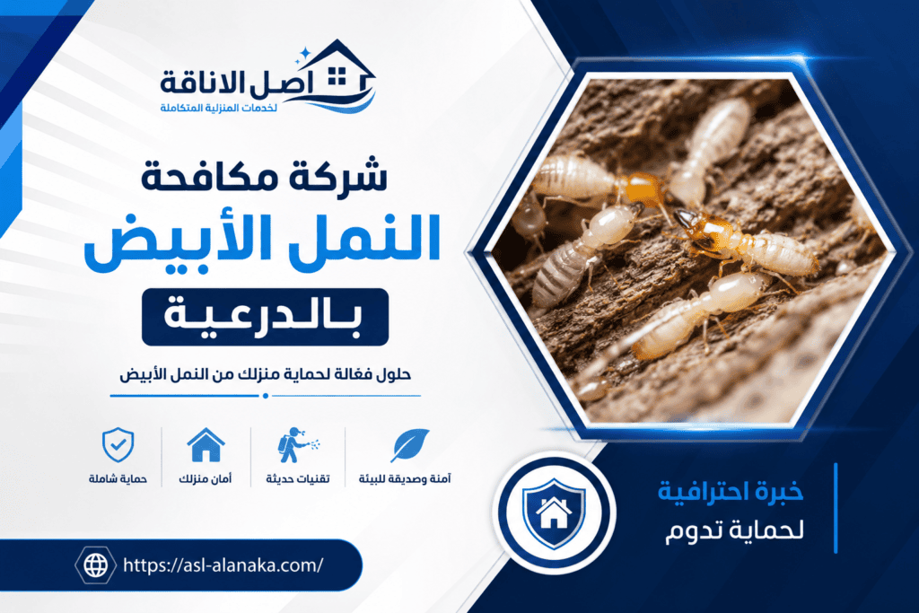 شركة مكافحة النمل الأبيض بالدرعية