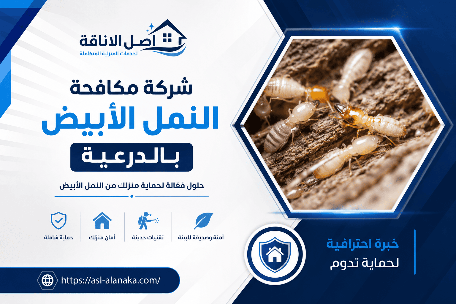 شركة مكافحة النمل الأبيض بالدرعية